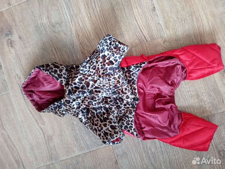 Одежда для маленьких собак