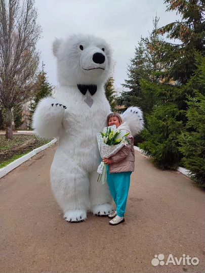 Белый мишка поздравление без доплат