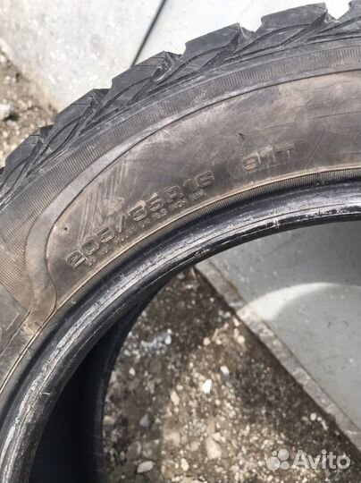 Sava Eskimo Stud 205/55 R16