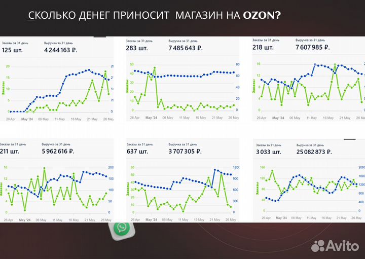 Бизнес Ozon, доход от 300 т.р