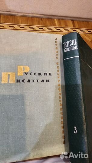 Русские писатели и жизнь Животных