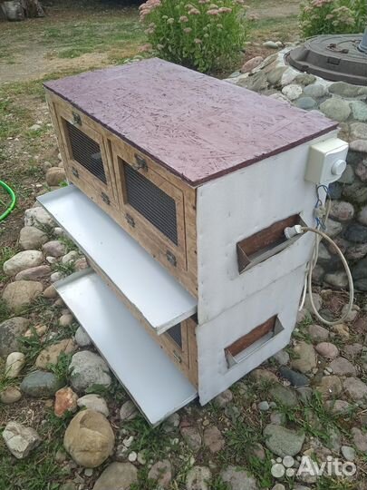 Брудер для цыплят