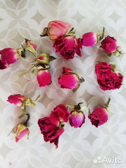 Бутончики и лепестки роз