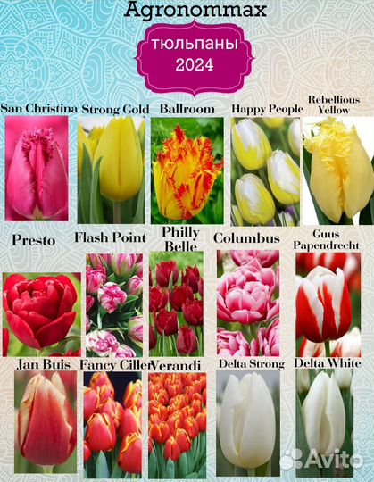 Тюльпаны к 8 марта оптом