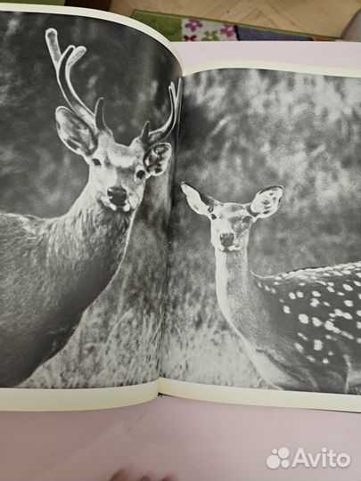 Книга природа Подмосковья Завидово