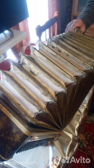 Баян meinel herold