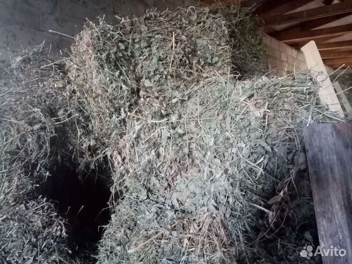 Сено солома в тюках
