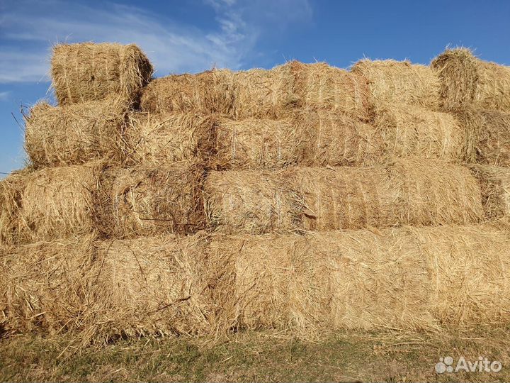 Сено в тюках