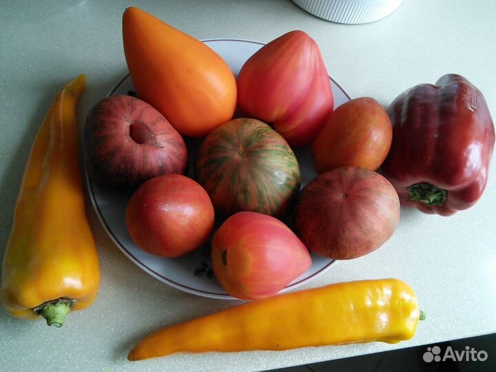 Семена самых вкусных томатов и перцев, дыни