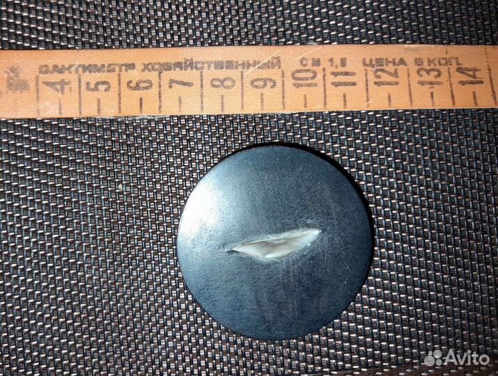 Зуб акулы в чёрном дереве