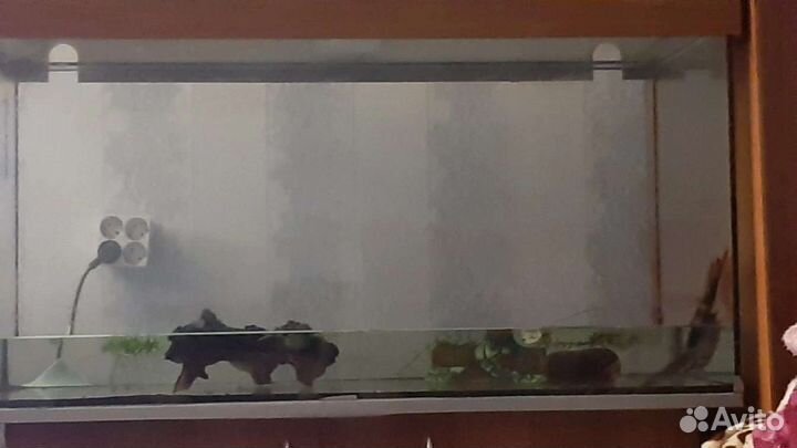 Аквариум на 200 литров