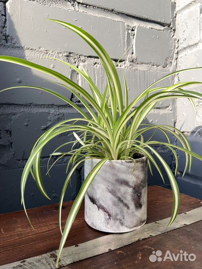 Кашпо для цветов ручной работы