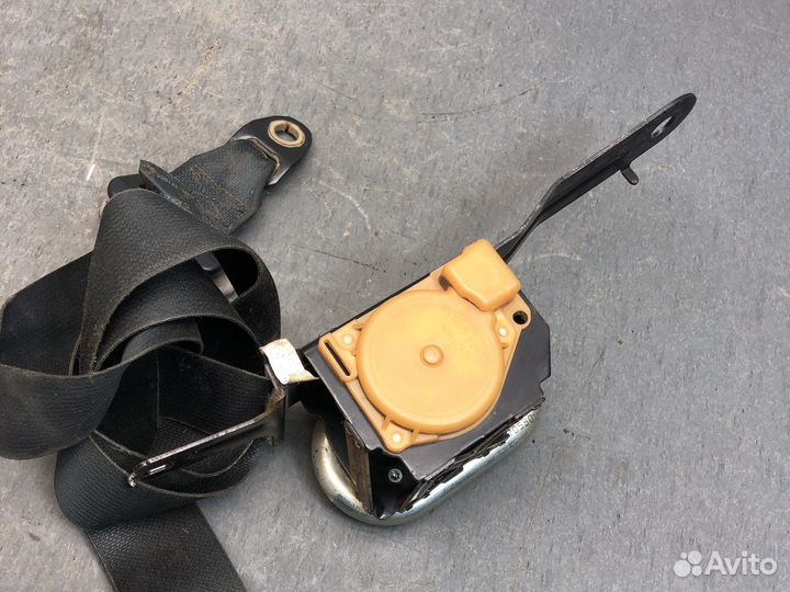 Пер лев ремень Альмера н16