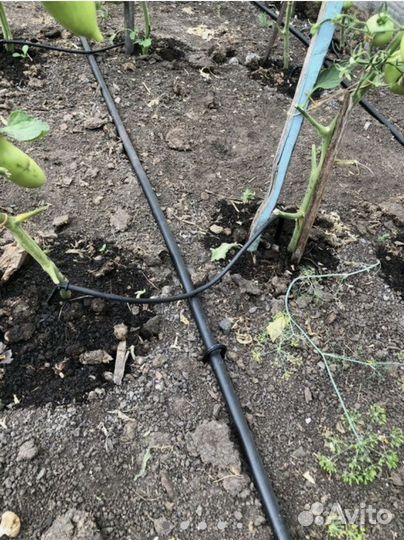 Набор для капельного полива от ёмкости