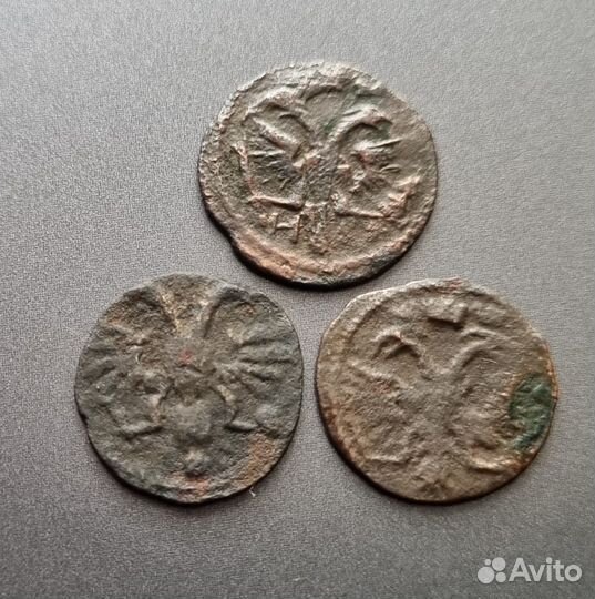 Лот: полушки врп 1719,1720,1722 гг