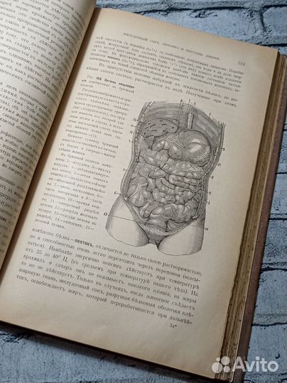 Уникальная Старинная Книга 