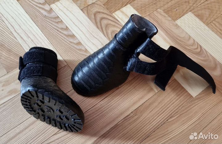 Обувь для собак