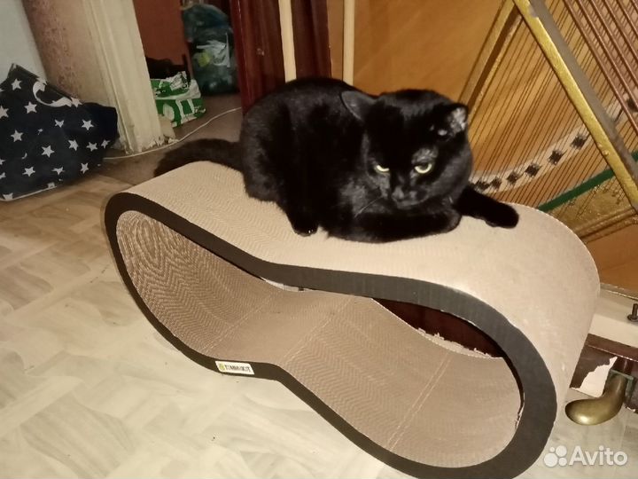 Когтеточка для кошек из картона