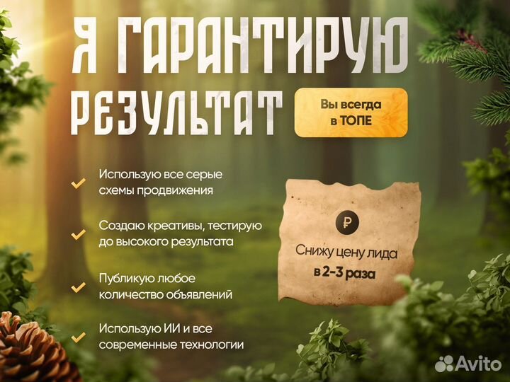 Частный Авитолог - Продвижение на Авито