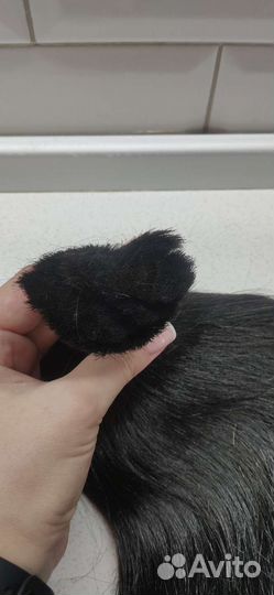 Волосы крашенные