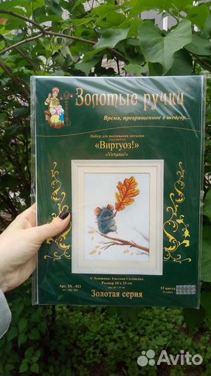 Золотые ручки. Виртуоз. Набор