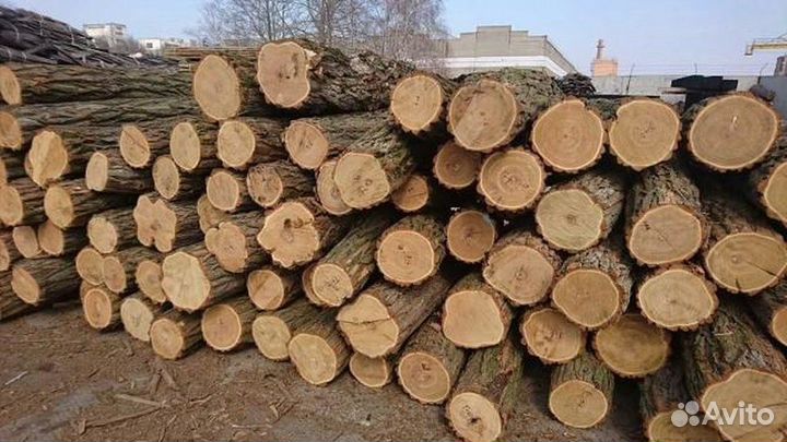 Дрова колотые И В пеньках, горбыль