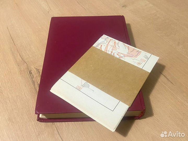 Самсонов Сталинградская битва