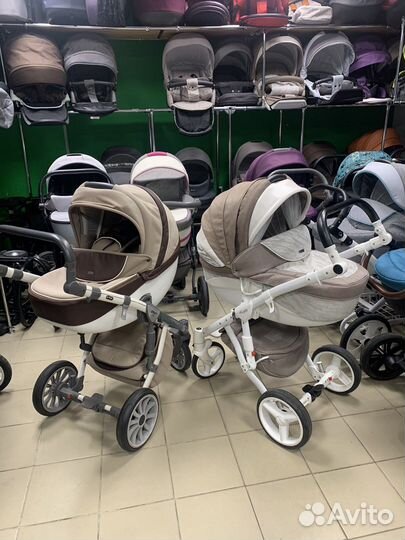 Коляски adamex anex