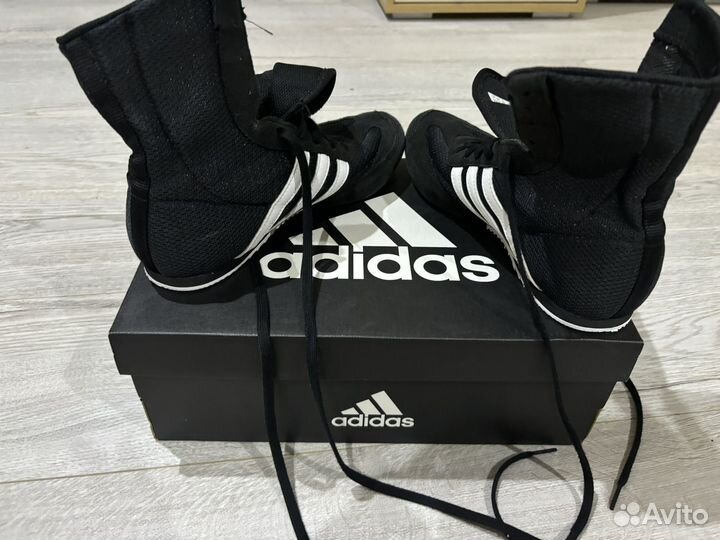 Боксерки adidas box hog 2