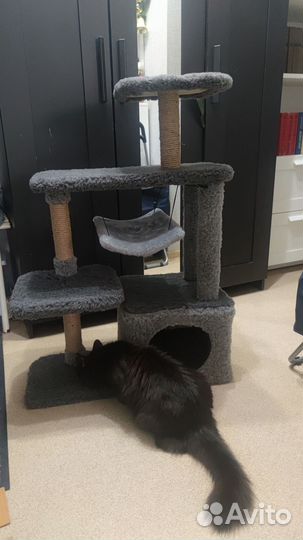 Домик комплекс для кошки когтеточка