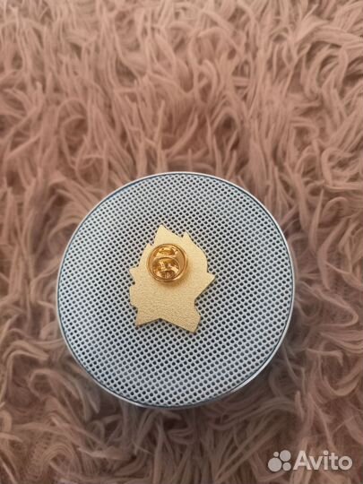 Значок Всегда Котов, подСССРпионера всегда готов