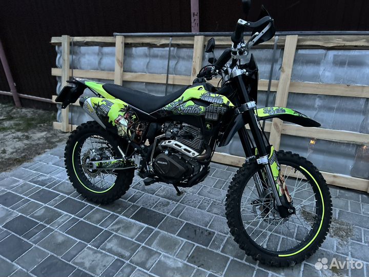 Regulmoto Sport 003 2023 с птс