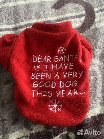 Одежда для собак мелких пород