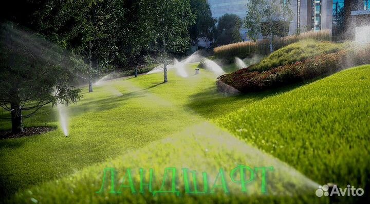 Рулонный газон для вашего участка Власиха