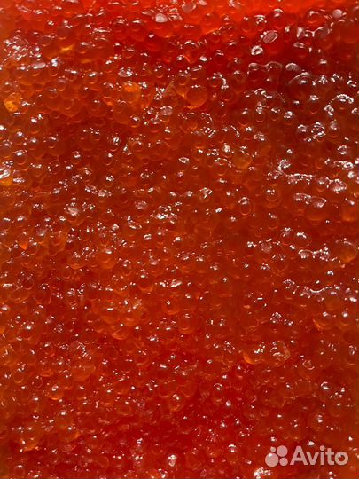 Красная икра 2023