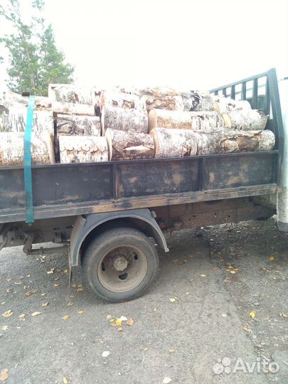 Дрова берёза