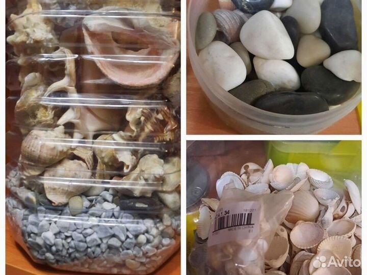 Аквариумистика