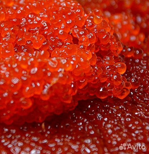 Свежий улов икры нерки