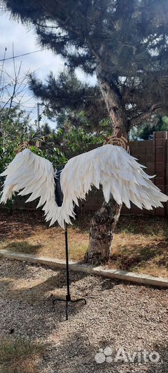 Крылья Ангела