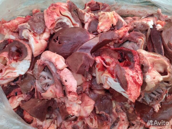 Мясо говядина для собак