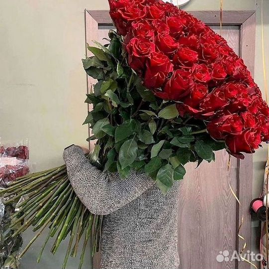 Высокие розы Гигантские розы Доставка цветов