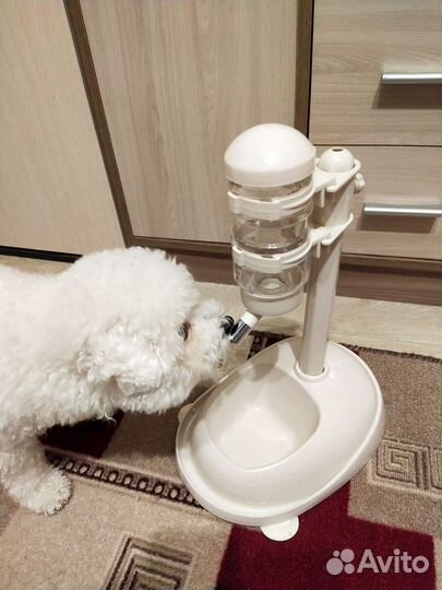 Поилка для собак