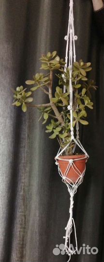 Кашпо для цветов подвесное