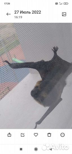 Ремонт пластиковых окон / Ремонт окон