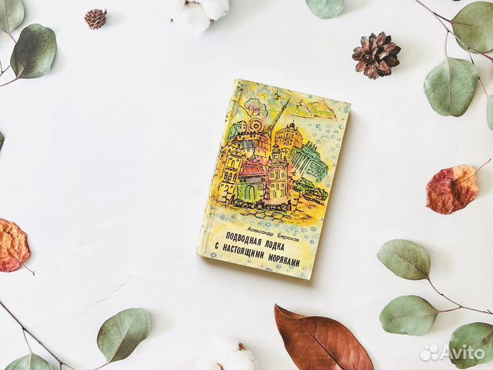 Комплект книг. Г. Ненашев, А. Бирюков