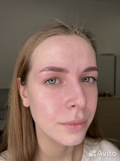 Обучение курс бровист