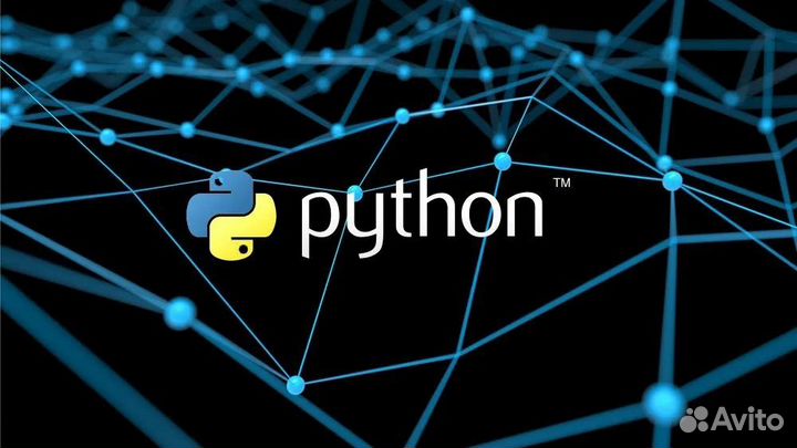 Полный курс python