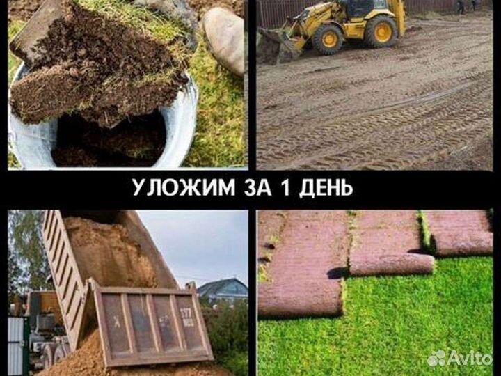Рулонный газон