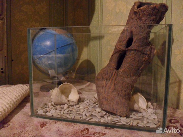 Черное море. Грот