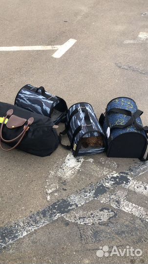 Документы на выезд животным. Доставка